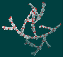 biodegradable polymers