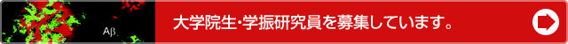 大学院生・学振研究員を募集しています。