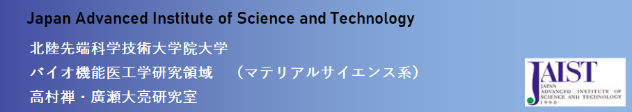 JAPAN ADVANCED INSTITUTE OF SCIENCE AND TECHNOLOGY - TAKAMURA  HIROSE LABORATORY