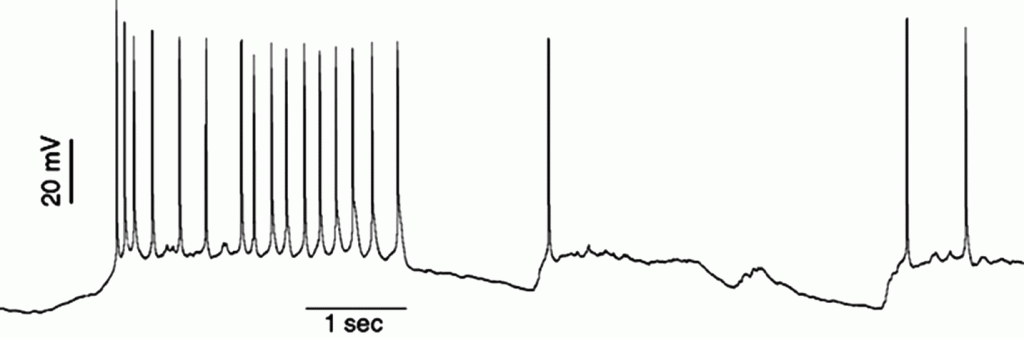 CellActivity