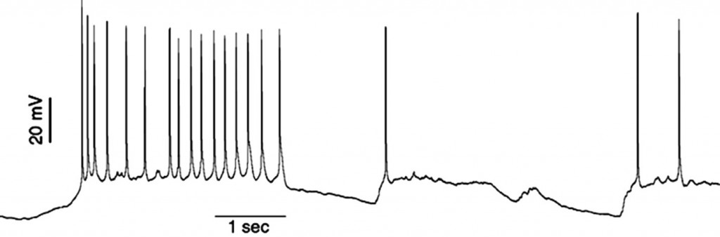 CellActivity