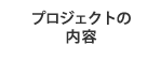 プロジェクトの内容