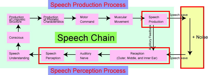 perception process in communication