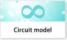 Circuit model