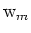${\rm {w}}_m$