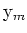 ${\rm {y}}_m$