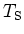 $T_{\rm {S}}$
