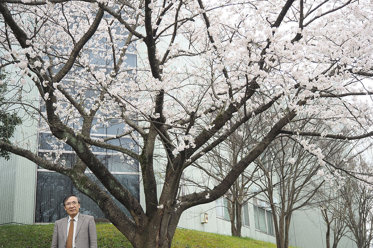 本学キャンパスの桜とともに（2026年4月）