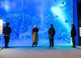 サムネイル1
