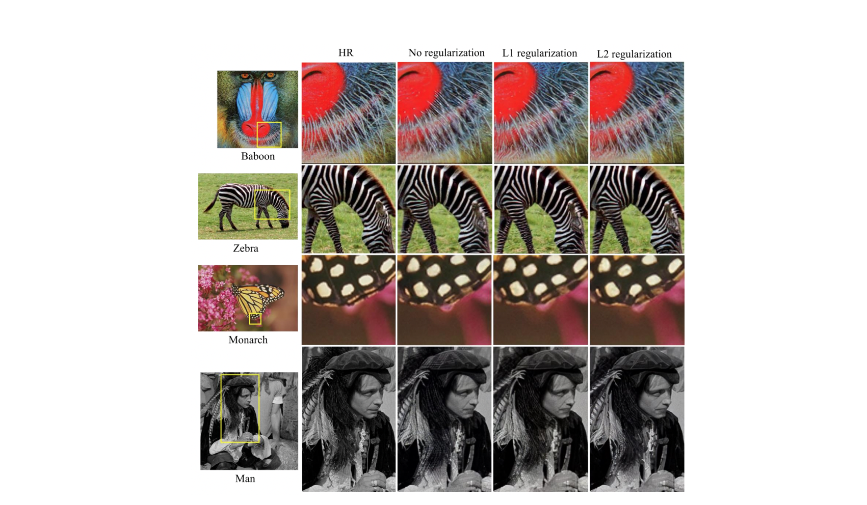 A regularization-based generative adversarial network for single image super-resolution