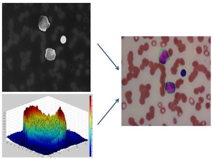 an example of detection and identification