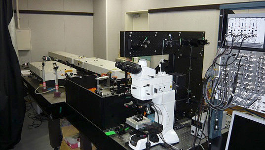 mizutani1-e.jpg