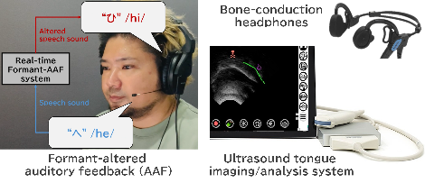 y-uezu2-e.png