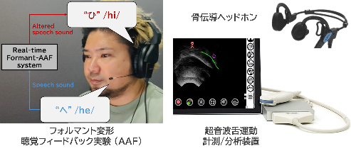 y-uezu2.png