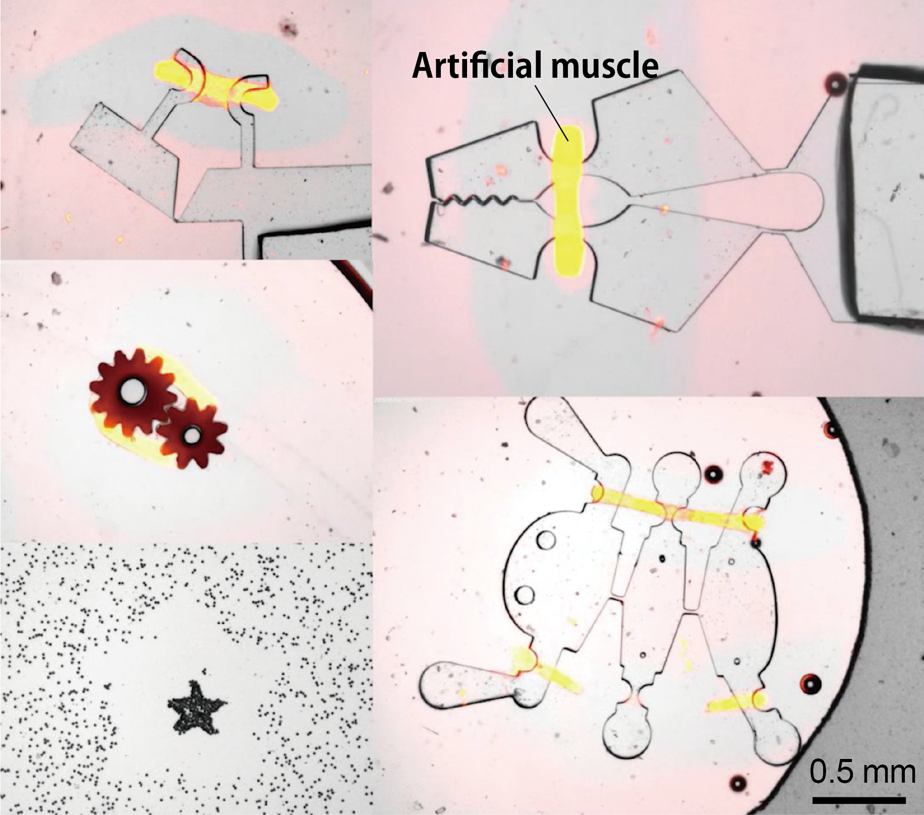 artificial muscle