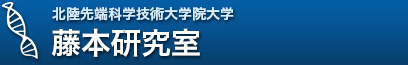 北陸先端科学技術大学院大学マテリアルサイエンス研究科　藤本研究室