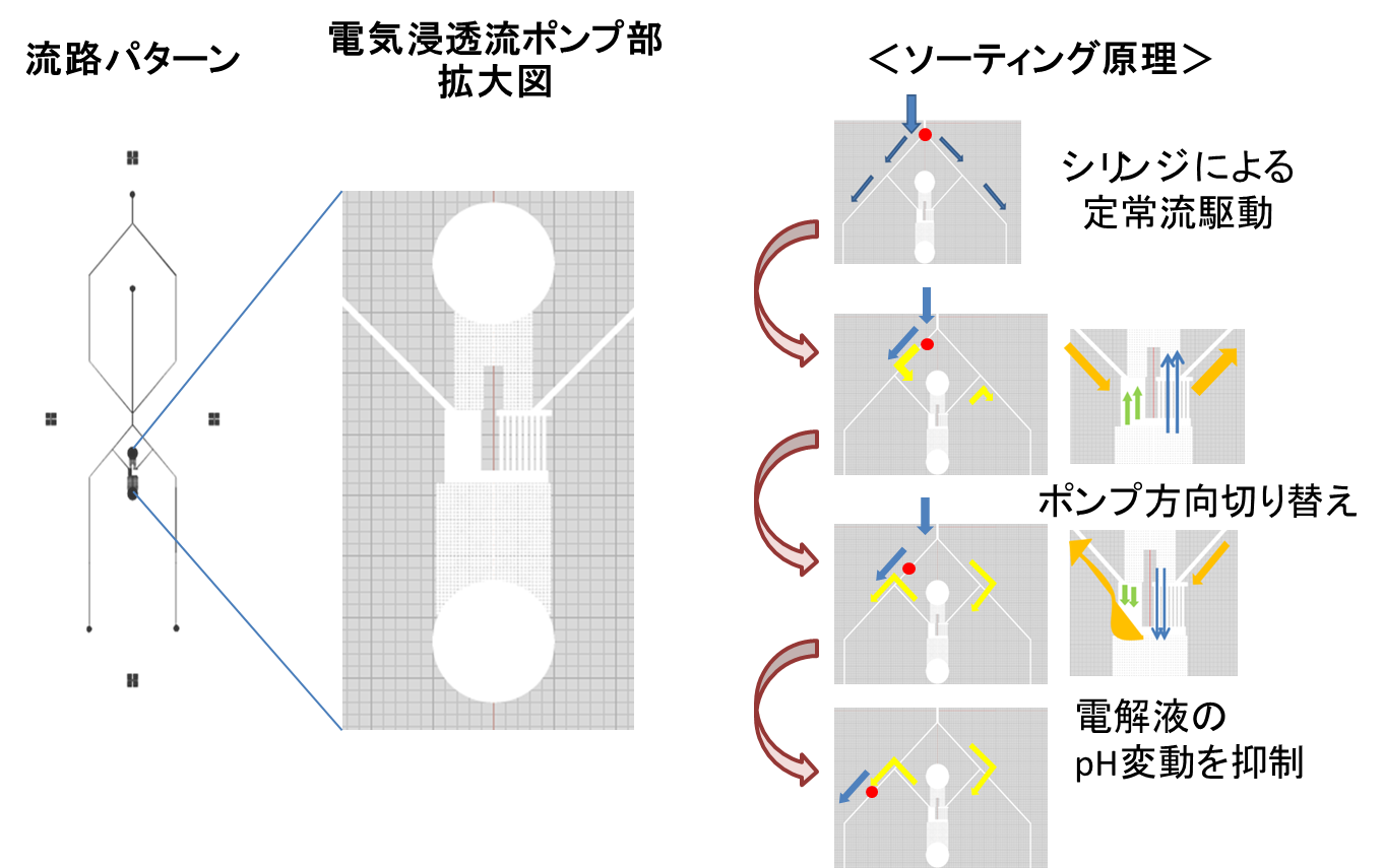 小型セルソーターの開発