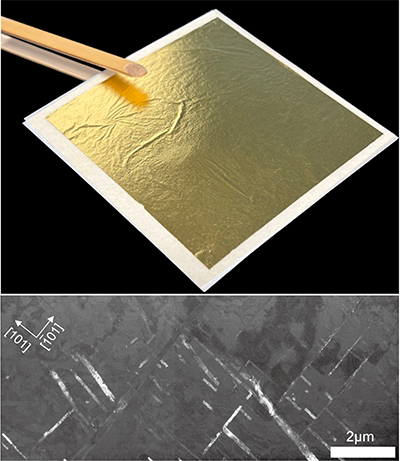 Fig_GoldLeafOct_07_2025.png
