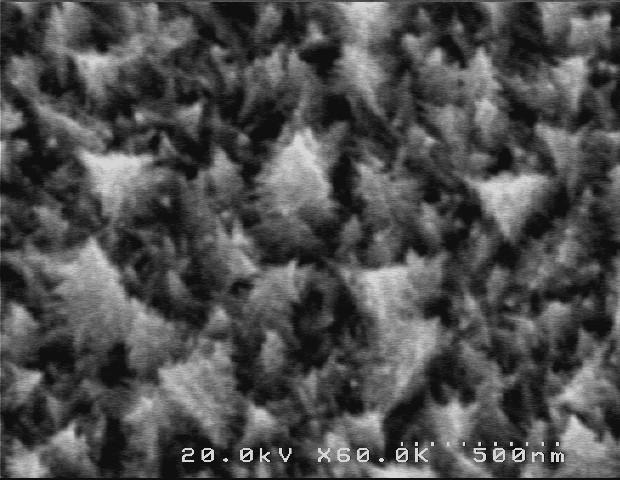 Figure1_NagaoY_20210624.jpg