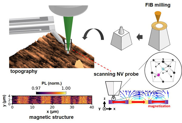 fig20220113_An.jpg