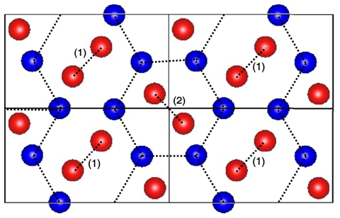 fig20220114_Maezono.png