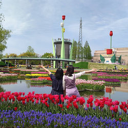 2022tulip-fair.jpg