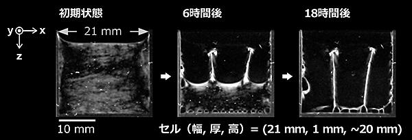 pr20170720-1.jpg