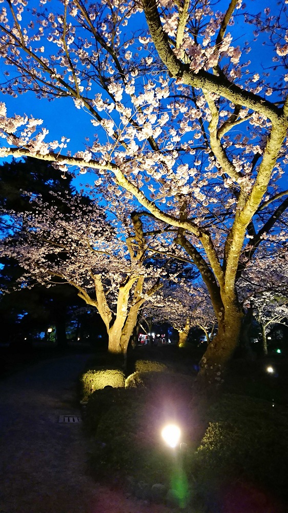 夜の兼六園