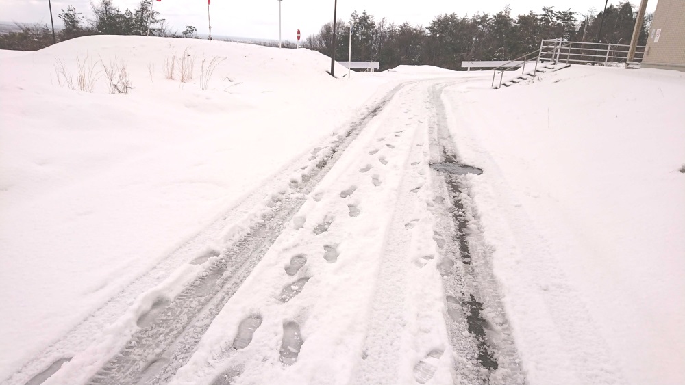 雪道(少なめ)